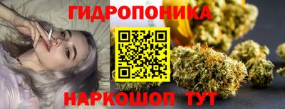 стаф Бузулук