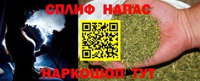 стаф Бузулук